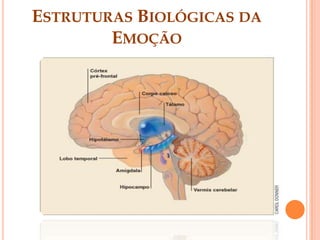 Espanto;