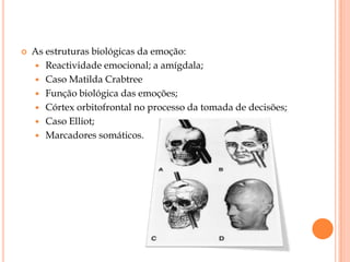 Rui ReisÍndiceMente e Emoção: