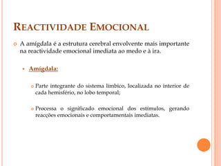 Proporcionam-nos a hipótese de criar laços com os outros, desempenhando um papel importante na vida em sociedade;