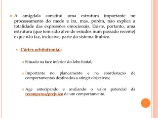 Emoções, sentimentos e afectos