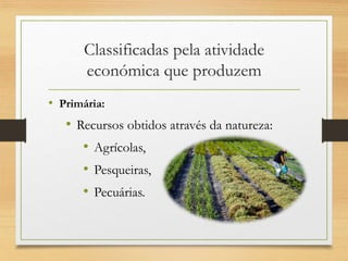 Classificadas pela atividade
económica que produzem
• Primária:
• Recursos obtidos através da natureza:
• Agrícolas,
• Pesqueiras,
• Pecuárias.
 