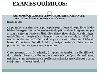 EXAMES QUÍMICOS: 
pH; PROTEÍNA; GLICOSE; CETONAS; BILIRRUBINA; SANGUE; 
UROBILINOGÊNIO; NITRITO; LEUCÓCITOS. 
Reação de pH : 
Os pulmões e os rins são os principais reguladores do equilíbrio ácido-básico 
do organismo. A determinação do pH urinário é importante por 
ajudar a detectar possíveis distúrbios eletrolíticos sistêmicos de origem 
metabólica ou respiratória, também pode indicar algum distúrbio 
resultante da incapacidade renal de produzir ou reabsorver ácidos ou 
bases. O controle do pH é feito principalmente da dieta, embora 
possam ser usados alguns medicamentos. 
O conhecimento do pH urinário, é importante também na identificação 
dos cristais observados durante o exame microscópico do sedimento 
urinário, e , no tratamento de problemas urinários que exija que a urina 
esteja em um determinado pH. 
 