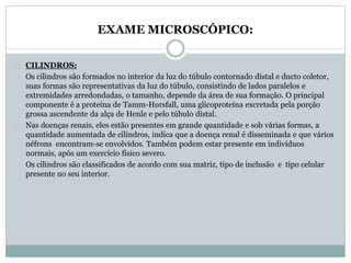 EXAME MICROSCÓPICO: 
CILINDROS: 
Os cilindros são formados no interior da luz do túbulo contornado distal e ducto coletor, 
suas formas são representativas da luz do túbulo, consistindo de lados paralelos e 
extremidades arredondadas, o tamanho, depende da área de sua formação. O principal 
componente é a proteína de Tamm-Horsfall, uma glicoproteína excretada pela porção 
grossa ascendente da alça de Henle e pelo túbulo distal. 
Nas doenças renais, eles estão presentes em grande quantidade e sob várias formas, a 
quantidade aumentada de cilindros, indica que a doença renal é disseminada e que vários 
néfrons encontram-se envolvidos. Também podem estar presente em indivíduos 
normais, após um exercício físico severo. 
Os cilindros são classificados de acordo com sua matriz, tipo de inclusão e tipo celular 
presente no seu interior. 
 