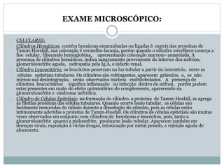 EXAME MICROSCÓPICO: 
CELULARES: 
Cilindros Hemáticos: contém hemáceas emaranhadas ou ligadas à matriz das proteínas de 
Tamm-Horsfall, sua coloração é vermelho-laranja, porém quando o cilindro envelhece começa a 
lise celular, liberando hemoglobina, apresentando coloração marrom- amarelada. A 
presença de cilindros hemáticos, indica sangramento proveniente do interior dos nefróns, 
glomerulonefrite aguda, nefropatia pela Ig A, e infarto renal. 
Cilindro Leucocitário: os leucócitos penetram na luz tubular a partir do interstício, entre as 
células epiteliais tubulares. Os cilindros são refringentes, aparecem grânulos, e, se não 
iniciou sua desintegração, serão observados núcleos multilobolados. A presença de 
cilindros leucocitários significa inflamação ou infecção dentro do néfron, porém podem 
estar presentes em razão do efeito quimiotático do complemento, aparecendo na 
glomerulonefrite e síndrome nefrótica. 
Cilindro de Células Epiteliais: na formação do cilindro, a proteína de Tamm-Hosfall, se agrega 
às fibrilas protéicas das células tubulares. Quando ocorre lesão tubular, as células são 
facilmente removidas do túbulo durante a dissolução do cilindro, pois as células estão 
intimamente aderidas a proteína de Tamm-Hosfall. Os cilindros de células epiteliais são muitas 
vezes observados em conjunto com cilindros de hemáceas e leucócitos, pois, tanto a 
glomerulonefrite quanto a pielonefrite, produzem lesão tubular. Aparecem também em 
doenças virais, exposição à várias drogas, intoxicação por metal pesado, e rejeição aguda de 
aloenxerto. 
 
