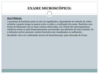 EXAME MICROSCÓPICO: 
BACTÉRIAS: 
A presença de bactérias pode ou não ser significativa, dependendo do método de coleta 
urinária e quanto tempo se passou entre a coleta e a realização do exame. Bactérias com 
forma de bastonetes são as mais comuns observadas, em virtude dos microrganismos 
entéricos serem os mais frequentementes encontrados nas infecções do trato urinário. Se 
a infecções estiver presente, muitos leucócitos são visualizados no sedimento. 
Resultado: deve ser confirmado através de bacterioscopia, pela coloração de Gram. 
 