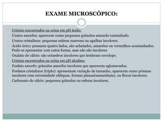 EXAME MICROSCÓPICO: 
Cristais encontrados na urina em pH ácido: 
Uratos amorfos: aparecem como pequenos grânulos amarelo-castanhado. 
Uratos cristalinos: pequenas esferas marrons ou agulhas incolores. 
Ácido úrico: possuem quatro lados, são achatados, amarelos ou vermelhos-acastanhados. 
Pode-se apresentar com outra forma, mas não são incolores 
Oxalato de cálcio: são octaedros incolores que lembram envelope. 
Cristais encontrados na urina em pH alcalino: 
Fosfato amorfo: grânulos amorfos incolores que aparecem aglomerados. 
Fosfatos cristalinos (triplo): apresentam variação de tamanho, aparecem como prismas 
incolores com extremidade oblíquas, formas planas(samambaia), ou flocos incolores. 
Carbonato de cálcio: pequenos grânulos ou esferas incolores. 
 