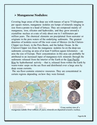 Page 4 of 8 
 Manganese Nodules: 
Covering huge areas of the deep sea with masses of up to 75 kilograms 
per square meters, manganese nodules are lumps of minerals ranging in 
size from a potato to a head of lettuce. They are composed mainly of 
manganese, iron, silicates and hydroxides, and they grow around a 
crystalline nucleus at a rate of only about one to 3 millimeters per 
million years. The chemical elements are precipitated from seawater or 
originate in the pore waters of the underlying sediments. The greatest 
densities of nodules occur off the west coast of Mexico (in the Clarion- 
Clipper ton Zone), in the Peru Basin, and the Indian Ocean. In the 
Clarion-Clipper ton Zone the manganese nodules lie on the deep-sea 
sediments covering an area of at least 9 million square kilometers – an 
area the size of Europe. Their concentration in this area can probably be 
attributed to an increased input of manganese-rich minerals through the 
sediments released from the interior of the Earth at the East Pacific 
Rise by hydrothermal activity – that is, released from within the Earth by 
warm-water seeps on the sea floor and distributed over a large area by 
deep ocean currents. 
The sea floor contains extensive resources. They are concentrated in 
certain regions depending on how they were formed. 
Cross-section view of a 
manganese nodule: Over millions of years, minerals are deposited around a nucleus. 
 
