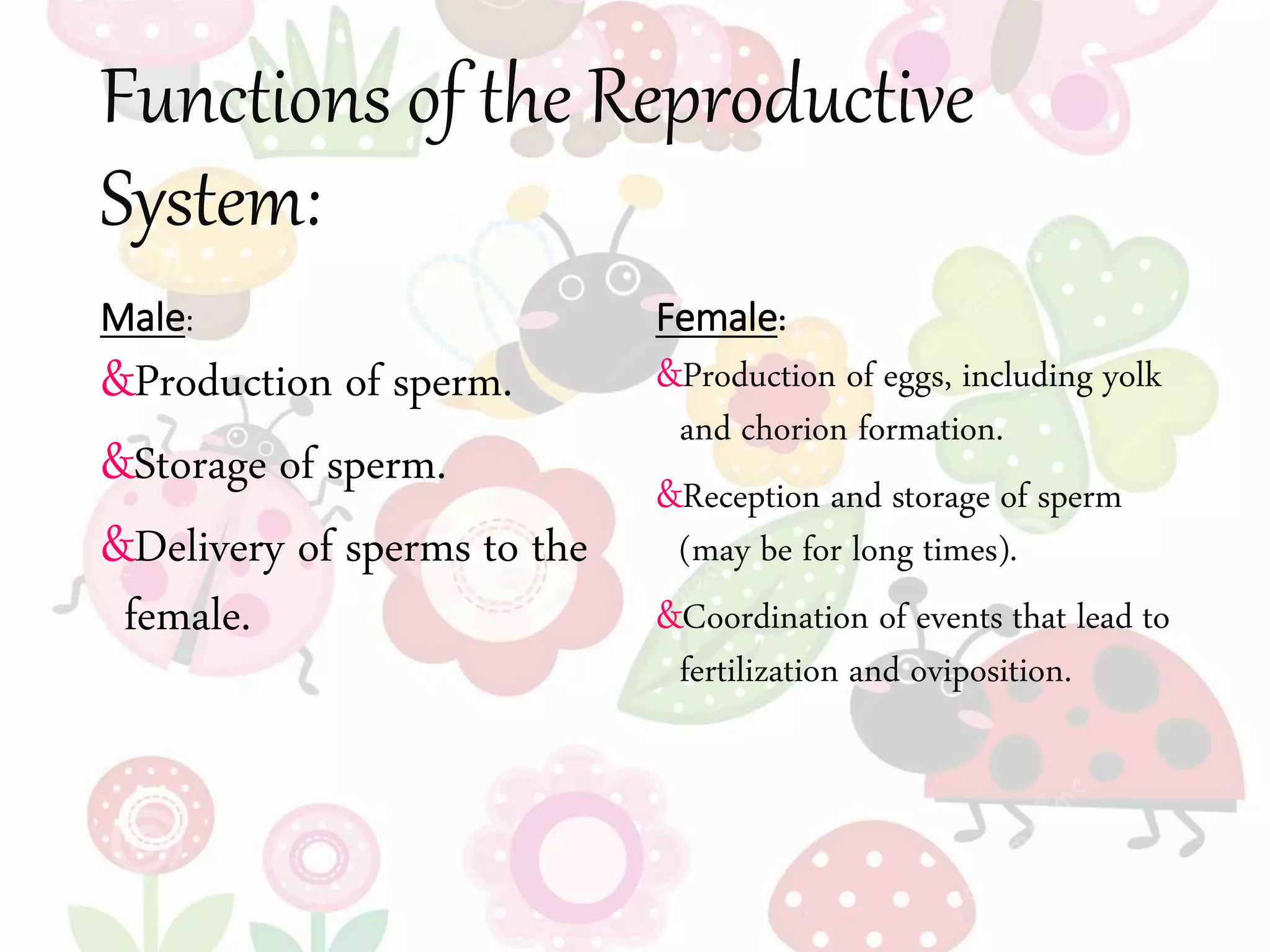 Functions of the Reproductive
System:
Male:
&Production of sperm.
&Storage of sperm.
&Delivery of sperms to the
female.
Female:
&Production of eggs, including yolk
and chorion formation.
&Reception and storage of sperm
(may be for long times).
&Coordination of events that lead to
fertilization and oviposition.
 