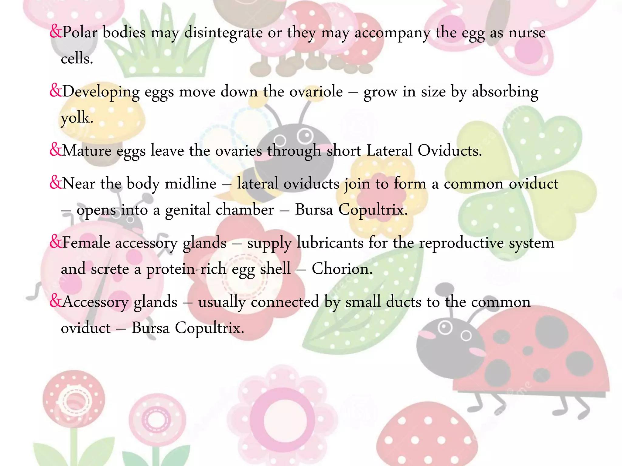 &Polar bodies may disintegrate or they may accompany the egg as nurse
cells.
&Developing eggs move down the ovariole – grow in size by absorbing
yolk.
&Mature eggs leave the ovaries through short Lateral Oviducts.
&Near the body midline – lateral oviducts join to form a common oviduct
– opens into a genital chamber – Bursa Copultrix.
&Female accessory glands – supply lubricants for the reproductive system
and screte a protein-rich egg shell – Chorion.
&Accessory glands – usually connected by small ducts to the common
oviduct – Bursa Copultrix.
 
