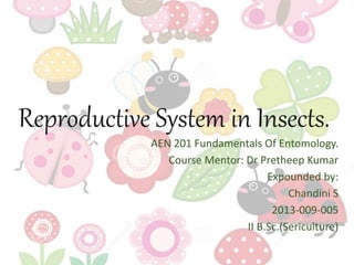 Reproductive System in Insects.
AEN 201 Fundamentals Of Entomology.
Course Mentor: Dr Pretheep Kumar
Expounded by:
Chandini S
2013-009-005
II B.Sc.(Sericulture)
 