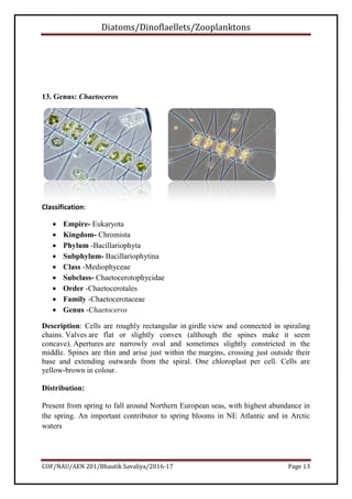 Diatoms/Dinoflaellets/Zooplanktons
COF/NAU/AEN 201/Bhautik Savaliya/2016-17 Page 14
14. Genus: Bacteriastrum
Classificatio...