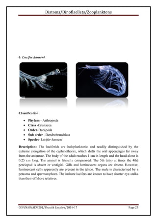 Diatoms/Dinoflaellets/Zooplanktons
COF/NAU/AEN 201/Bhautik Savaliya/2016-17 Page 26
7. Balanus nauplius
Classification:
 ...