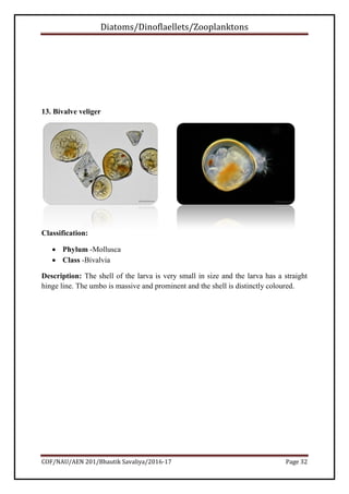 Diatoms/Dinoflaellets/Zooplanktons
COF/NAU/AEN 201/Bhautik Savaliya/2016-17 Page 33
14. Fish Eggs
Classification:
 Phylum...