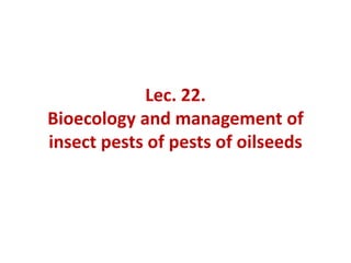 Lec. 22.
Bioecology and management of
insect pests of pests of oilseeds
 