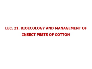 LEC. 21. BIOECOLOGY AND MANAGEMENT OF
INSECT PESTS OF COTTON
 