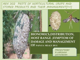 BIONOMICS,DISTRIBUTION,
HOST RANGE ,SYMPTOM OF
DAMAGE AND MANAGEMENT
OF PAPAYA MEALY BUG
PRESENTEDBY
R.VARSHINI
2017018094
AEN 302 PESTS OF HORTICULTURAL CROPS AND
STORED PRODUCTS AND THEIR MANAGEMENT[1+1]
 