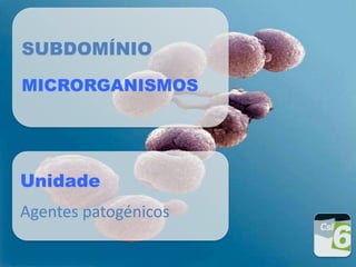 SUBDOMÍNIO
MICRORGANISMOS
Unidade
Agentes patogénicos
 