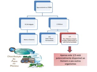 Apenas este 1/3 está potencialmente disponível ao Homem e aos outros organismos