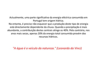 A produção de hidro-electricidade, é dos processos mais eficientes e menos poluidores. Muitos dos efeitos são reversíveis, e a natureza, com a contribuição humana, acaba por encontrar novos equilíbrios