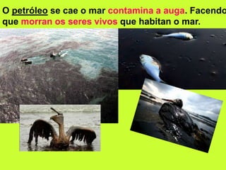 O petróleo se cae o mar contamina a auga. Facendo
que morran os seres vivos que habitan o mar.
 