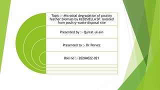 Topic :- Microbial degradation of poultry
feather biomass by KLEBSIELLA SP
. isolated
from poultry waste disposal site
Presented by :- Qurrat-ul-ain
Presented to :- Dr Pervez
Roll no :- 20204022-021
 