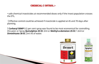 AENT-5312 Teksingh.ppt STUDY OF ENTOMOLOGY GROUNDNUT PEST AND ...