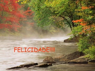 FELICIDADE!!!! 