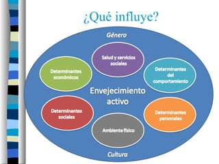 ¿Qué influye?
 