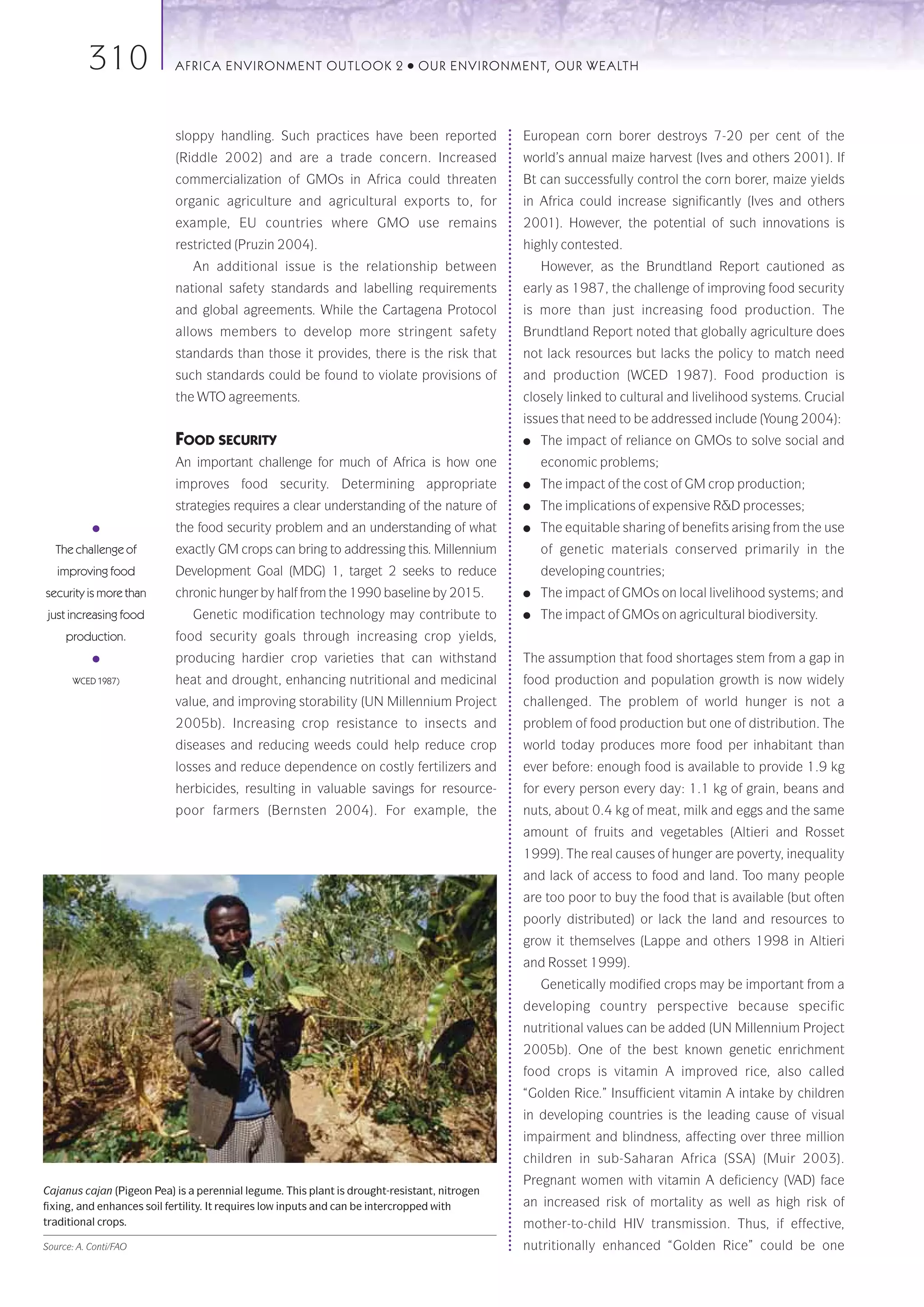 310              AFRICA ENVIRONMENT OUTLOOK 2                    ●   OUR ENVIRONMENT, OUR WEALTH




                           sloppy handling. Such practices have been reported                 European corn borer destroys 7-20 per cent of the
                           (Riddle 2002) and are a trade concern. Increased                   world’s annual maize harvest (Ives and others 2001). If
                           commercialization of GMOs in Africa could threaten                 Bt can successfully control the corn borer, maize yields
                           organic agriculture and agricultural exports to, for               in Africa could increase significantly (Ives and others
                           example, EU countries where GMO use remains                        2001). However, the potential of such innovations is
                           restricted (Pruzin 2004).                                          highly contested.
                               An additional issue is the relationship between                    However, as the Brundtland Report cautioned as
                           national safety standards and labelling requirements               early as 1987, the challenge of improving food security
                           and global agreements. While the Cartagena Protocol                is more than just increasing food production. The
                           allows members to develop more stringent safety                    Brundtland Report noted that globally agriculture does
                           standards than those it provides, there is the risk that           not lack resources but lacks the policy to match need
                           such standards could be found to violate provisions of             and production (WCED 1987). Food production is
                           the WTO agreements.                                                closely linked to cultural and livelihood systems. Crucial
                                                                                              issues that need to be addressed include (Young 2004):
                           FOOD SECURITY                                                      ●   The impact of reliance on GMOs to solve social and
                           An important challenge for much of Africa is how one                   economic problems;
                           improves food security. Determining appropriate                    ●   The impact of the cost of GM crop production;
                           strategies requires a clear understanding of the nature of         ●   The implications of expensive R&D processes;
           ●               the food security problem and an understanding of what             ●   The equitable sharing of benefits arising from the use
  The challenge of         exactly GM crops can bring to addressing this. Millennium              of genetic materials conserved primarily in the
   improving food          Development Goal (MDG) 1, target 2 seeks to reduce                     developing countries;
security is more than      chronic hunger by half from the 1990 baseline by 2015.             ●   The impact of GMOs on local livelihood systems; and
 just increasing food          Genetic modification technology may contribute to              ●   The impact of GMOs on agricultural biodiversity.
     production.           food security goals through increasing crop yields,
           ●               producing hardier crop varieties that can withstand                The assumption that food shortages stem from a gap in
       WCED 1987)          heat and drought, enhancing nutritional and medicinal              food production and population growth is now widely
                           value, and improving storability (UN Millennium Project            challenged. The problem of world hunger is not a
                           2005b). Increasing crop resistance to insects and                  problem of food production but one of distribution. The
                           diseases and reducing weeds could help reduce crop                 world today produces more food per inhabitant than
                           losses and reduce dependence on costly fertilizers and             ever before: enough food is available to provide 1.9 kg
                           herbicides, resulting in valuable savings for resource-            for every person every day: 1.1 kg of grain, beans and
                           poor farmers (Bernsten 2004). For example, the                     nuts, about 0.4 kg of meat, milk and eggs and the same
                                                                                              amount of fruits and vegetables (Altieri and Rosset
                                                                                              1999). The real causes of hunger are poverty, inequality
                                                                                              and lack of access to food and land. Too many people
                                                                                              are too poor to buy the food that is available (but often
                                                                                              poorly distributed) or lack the land and resources to
                                                                                              grow it themselves (Lappe and others 1998 in Altieri
                                                                                              and Rosset 1999).
                                                                                                  Genetically modified crops may be important from a
                                                                                              developing country perspective because specific
                                                                                              nutritional values can be added (UN Millennium Project
                                                                                              2005b). One of the best known genetic enrichment
                                                                                              food crops is vitamin A improved rice, also called
                                                                                              “Golden Rice.” Insufficient vitamin A intake by children
                                                                                              in developing countries is the leading cause of visual
                                                                                              impairment and blindness, affecting over three million
                                                                                              children in sub-Saharan Africa (SSA) (Muir 2003).
                                                                                              Pregnant women with vitamin A deficiency (VAD) face
Cajanus cajan (Pigeon Pea) is a perennial legume. This plant is drought-resistant, nitrogen
fixing, and enhances soil fertility. It requires low inputs and can be intercropped with      an increased risk of mortality as well as high risk of
traditional crops.                                                                            mother-to-child HIV transmission. Thus, if effective,
Source: A. Conti/FAO                                                                          nutritionally enhanced “Golden Rice” could be one
 