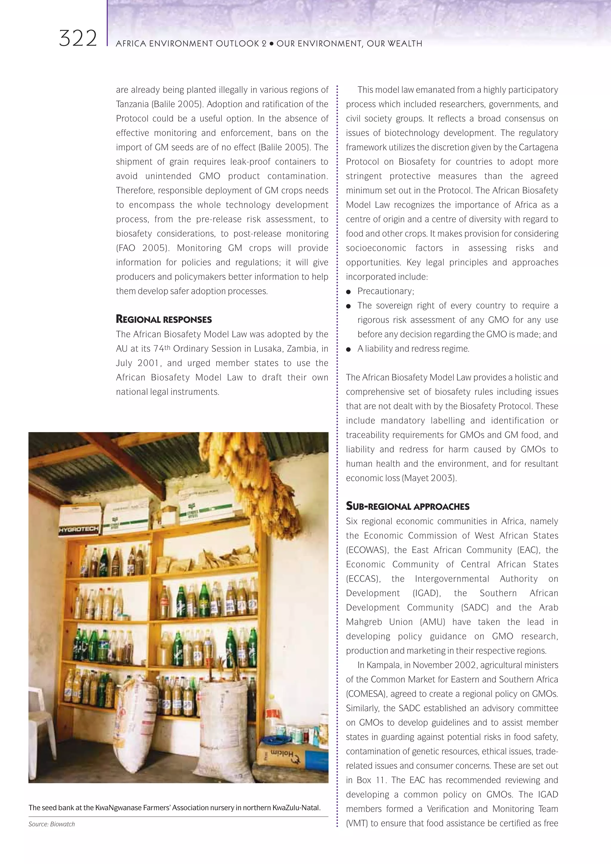 322             AFRICA ENVIRONMENT OUTLOOK 2                  ●   OUR ENVIRONMENT, OUR WEALTH




                          are already being planted illegally in various regions of            This model law emanated from a highly participatory
                          Tanzania (Balile 2005). Adoption and ratification of the         process which included researchers, governments, and
                          Protocol could be a useful option. In the absence of             civil society groups. It reflects a broad consensus on
                          effective monitoring and enforcement, bans on the                issues of biotechnology development. The regulatory
                          import of GM seeds are of no effect (Balile 2005). The           framework utilizes the discretion given by the Cartagena
                          shipment of grain requires leak-proof containers to              Protocol on Biosafety for countries to adopt more
                          avoid unintended GMO product contamination.                      stringent protective measures than the agreed
                          Therefore, responsible deployment of GM crops needs              minimum set out in the Protocol. The African Biosafety
                          to encompass the whole technology development                    Model Law recognizes the importance of Africa as a
                          process, from the pre-release risk assessment, to                centre of origin and a centre of diversity with regard to
                          biosafety considerations, to post-release monitoring             food and other crops. It makes provision for considering
                          (FAO 2005). Monitoring GM crops will provide                     socioeconomic        factors   in    assessing   risks   and
                          information for policies and regulations; it will give           opportunities. Key legal principles and approaches
                          producers and policymakers better information to help            incorporated include:
                          them develop safer adoption processes.                           ●   Precautionary;
                                                                                           ●   The sovereign right of every country to require a
                          REGIONAL RESPONSES                                                   rigorous risk assessment of any GMO for any use
                          The African Biosafety Model Law was adopted by the                   before any decision regarding the GMO is made; and
                          AU at its 74th Ordinary Session in Lusaka, Zambia, in            ●   A liability and redress regime.
                          July 2001, and urged member states to use the
                          African Biosafety Model Law to draft their own                   The African Biosafety Model Law provides a holistic and
                          national legal instruments.                                      comprehensive set of biosafety rules including issues
                                                                                           that are not dealt with by the Biosafety Protocol. These
                                                                                           include mandatory labelling and identification or
                                                                                           traceability requirements for GMOs and GM food, and
                                                                                           liability and redress for harm caused by GMOs to
                                                                                           human health and the environment, and for resultant
                                                                                           economic loss (Mayet 2003).


                                                                                           SUB-REGIONAL APPROACHES
                                                                                           Six regional economic communities in Africa, namely
                                                                                           the Economic Commission of West African States
                                                                                           (ECOWAS), the East African Community (EAC), the
                                                                                           Economic Community of Central African States
                                                                                           (ECCAS),     the     Intergovernmental      Authority     on
                                                                                           Development        (IGAD),     the     Southern     African
                                                                                           Development Community (SADC) and the Arab
                                                                                           Mahgreb Union (AMU) have taken the lead in
                                                                                           developing policy guidance on GMO research,
                                                                                           production and marketing in their respective regions.
                                                                                               In Kampala, in November 2002, agricultural ministers
                                                                                           of the Common Market for Eastern and Southern Africa
                                                                                           (COMESA), agreed to create a regional policy on GMOs.
                                                                                           Similarly, the SADC established an advisory committee
                                                                                           on GMOs to develop guidelines and to assist member
                                                                                           states in guarding against potential risks in food safety,
                                                                                           contamination of genetic resources, ethical issues, trade-
                                                                                           related issues and consumer concerns. These are set out
                                                                                           in Box 11. The EAC has recommended reviewing and
                                                                                           developing a common policy on GMOs. The IGAD
The seed bank at the KwaNgwanase Farmers’ Association nursery in northern KwaZulu-Natal.   members formed a Verification and Monitoring Team
Source: Biowatch                                                                           (VMT) to ensure that food assistance be certified as free
 