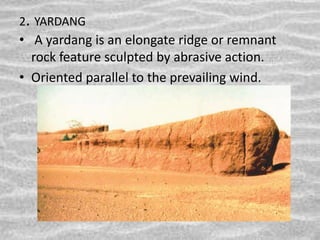 2. YARDANG
• A yardang is an elongate ridge or remnant
rock feature sculpted by abrasive action.
• Oriented parallel to the prevailing wind.
 