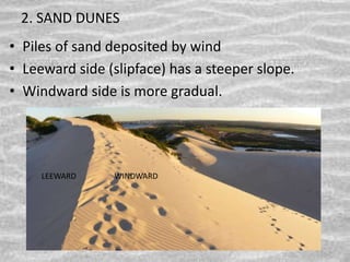 2. SAND DUNES
• Piles of sand deposited by wind
• Leeward side (slipface) has a steeper slope.
• Windward side is more gradual.
LEEWARD WINDWARD
 