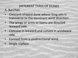 DIFFERENT TYPES OF DUNES
A. Barchan
• Crescent-shaped dune whose long axis is
transverse to the dominant wind direction.
• The wings or arms or horns are directed
leeward side.
• Concave in leeward and convex in windward
side.
• Formed from a unidirectional wind.
• Single slipface.
 