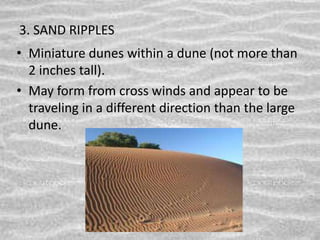 3. SAND RIPPLES
• Miniature dunes within a dune (not more than
2 inches tall).
• May form from cross winds and appear to be
traveling in a different direction than the large
dune.
 