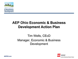 AEP Ohio Economic & Business
              Development Action Plan

                   Tim Wells, CEcD
              Manager, Economic & Business
                      Development


AEPED.com
 