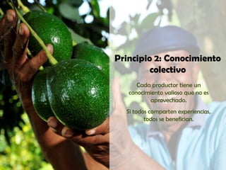 Principio 2: Conocimiento
         colectivo
      Cada productor tiene un
   conocimiento valioso que no es
          aprovechado.
  Si todos comparten experiencias,
         todos se benefician.
 