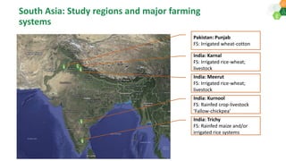 Climate change impacts and Adaptation strategies to build the Resilience and farm household income of rainfed farming systems in SAT India.: AERA 2018 Dakshina etal