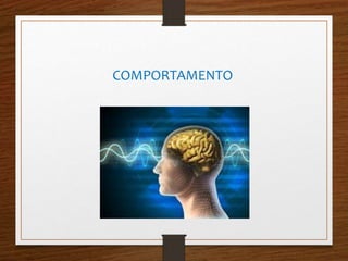 COMPORTAMENTO 
 