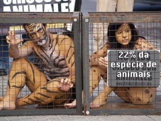 22% da espécie de animais 