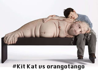 #Kit Kat vs orangotango 