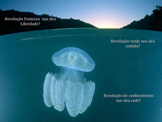 Revolução Francesa  nos deu Liberdade? Revolução verde nos deu comida? Revolução do conhecimento nos deu rede? 