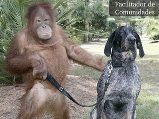 Facilitador de  Comunidades 