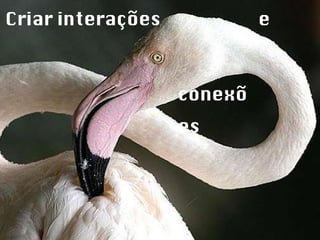 Criar interações  e conexões 