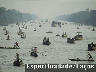 Especificidade/Laços 
