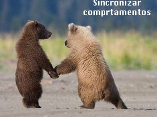 Sincronizar comprtamentos 