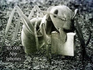 65.000 App  Iphones 