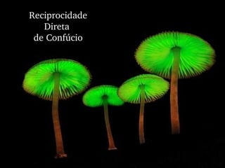 Reciprocidade Direta  de Confúcio 