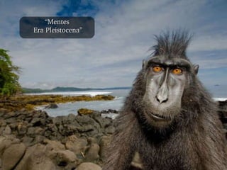 “ Mentes Era Pleistocena” 