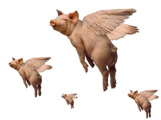 30  anos = 5,5  anos assistindo TV 