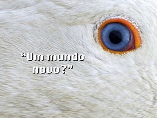 “ Um mundo novo?” 
